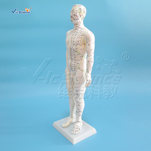 Модель акупунктуры для мужчин, 50 см - Product Image 2