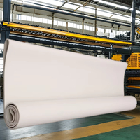 Ceinture en feutre de fibre d'aramide sans fin, état neuf, pour machines textiles de sanforisation, pièces haute performance
