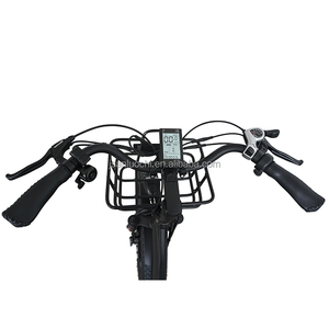 ANLOCHI Giá Tốt 48V 500 Wát 24Inch Cao Mạnh Mẽ Fat Tire Electric <span class=keywords><strong>Drift</strong></span> <span class=keywords><strong>Trike</strong></span> Cho Dài Rang Cargo - Product Image 3