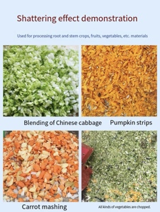 Factory Direct Sale Multifunctional Stainless Steel <strong>Vegetable</strong> <strong>Cutter</strong> Suitable for Grinding Feed for Chicken Duck and Goose - Product Image 6