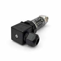 Transmisor de Presión Absoluta de Silicio Monocristalino de Acero Inoxidable Directo de Fábrica, IP67, RS485, Conexión Roscada, Alta Precisión