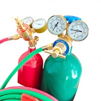 Nouvel Arrivage Sunjoy Kit de Soudage et de Découpe Portable Acétylène-Oxygène Plaqué Cuivre avec Torche à Commutateur Rotatif et Bouteille de Gaz 54V