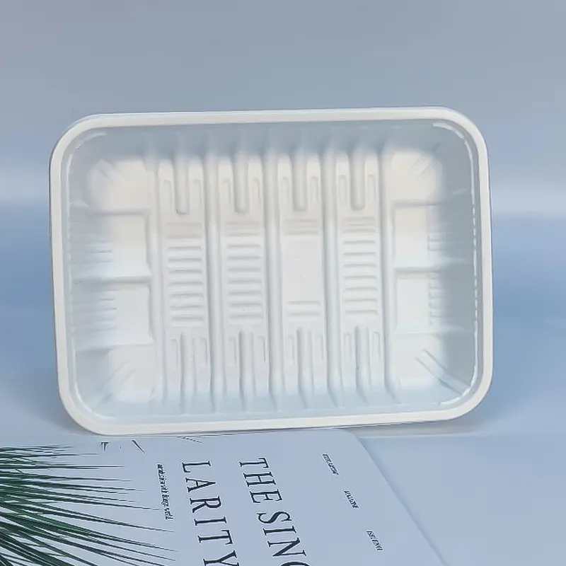 Custom Disposable Frozen Food Packaging Sushi Container Plastic Compostable Food Packaging Tray