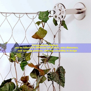 Enrejado de plantas, cuerda tejida, malla, férula de jardín botánico, <span class=keywords><strong>Red</strong></span> de Cable, pared verde, <span class=keywords><strong>red</strong></span> de cuerda de alambre de acero inoxidable - Product Image 5