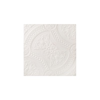 Panneaux de plafond en mousse insonorisante-Solutions décoratives pour plafonds suspendus 2x2