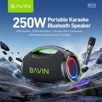Haut-parleur karaoké portable sans fil BAVIN avec logo personnalisé OEM ODM BM55 250W 12000mAh Batterie BT5.3