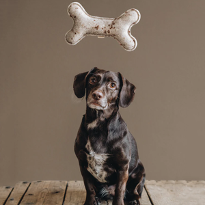 Dayanıklı kemik köpek oyuncak nokta keçe köpek kemik çiğnemek oyuncak Pet yavru oyuncak köpek hediye mevcut - Product Image 3