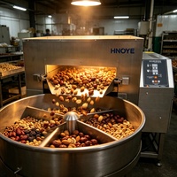 Machine à torréfier les cacahuètes électrique, four à tambour commercial pour noix, graines de soja et céréales