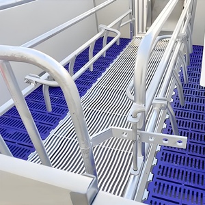 Heavy Duty Swine Farrowing Stall Hot Dip Galvanized Steel Sow Crates Cast Iron Plastic Slatted Flooring Creep Area for Piglets - Product Image 4