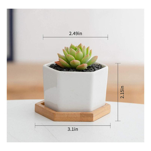 Vasi per <span class=keywords><strong>Piante</strong></span> da Interno Esagonali in Stile Nordico a Basso Prezzo, Piccoli Vasi in Ceramica Bianca per Succulente Miniature - Product Image 6