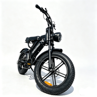 Prix de gros V20 Vélo de plage rétro 20 pouces à pneus larges, Vélo électrique vintage 1000W, Fatbike sport vintage, Stock UE