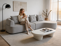 Modernes Minimalistisches Komprimiertes Sofa Gepolsterte Weiche Couch Platzsparend Verpackt Einfache Zollabfertigung