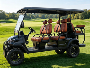 Voiture de golf homologuée CE 48V 6 places pour le tourisme et les visites, homologuée pour la route - Product Image 6
