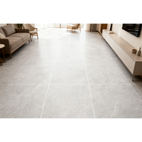 Nouveau produit : Carrelage de salon en porcelaine rustique 600x600, finition mate