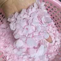 Confettis de pétales de fleurs naturelles biodégradables pour mariage, pétales de rose stabilisés flottants, fournitures de fleurs séchées, couleur personnalisée, en vrac