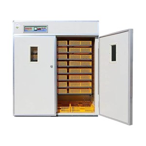 Nueva Incubadora Youmu Totalmente Automática de Triple Propósito con Capacidad Estándar para Huevos, Multifuncional para Incubación, Eclosión y Cría de <span class=keywords><strong>Pollitos</strong></span> - Product Image 5