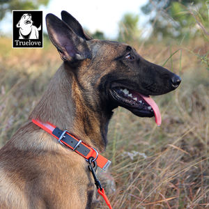 Truelove Hond Huisdieren Halsbanden Verstelbare Waterdichte Pvc Hond Kat Puppy Veilige Lichtgevende Reflecterende Ketting Training Huisdier Benodigdheden - Product Image 1