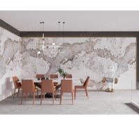 Dalle de pierre frittée grand format SH STONE Patagonia de luxe 1200x2800mmx6mm rétroéclairée pour fond de télévision et façade