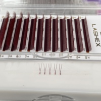 Extensions de cils Private Label Corée PBT couleur bordeaux, courbures U, L, B, C, CC, D, L, M, rouge vin, étroites, W Speedy Lashes, longueurs mixtes 7mm-15mm