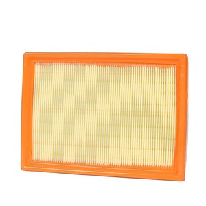 Filtre à air pour Chevrolet, taille standard, numéro de pièce de rechange 10296746 - Product Image 2