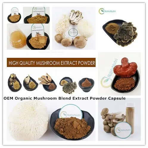 Bouteille OEM de formule de client biologique, mélange de gouttes de champignons, complexe de champignons, liquide à base de plantes/extrait de champignons