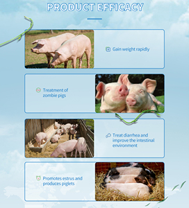 China Fast Fattening Bulk Animal Livestock <strong>Feed</strong> Additives Powder Supplements <strong>for</strong> Pig Cow Horse Piglets Cattle Broiler <strong>Sheep</strong> Sow - Product Image 5