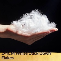 Coussins de canapé et oreillers en duvet de canard blanc lavé, 2-4 cm, propres et sans odeur ; Rembourrage en duvet/plumes pour sièges, vente en gros