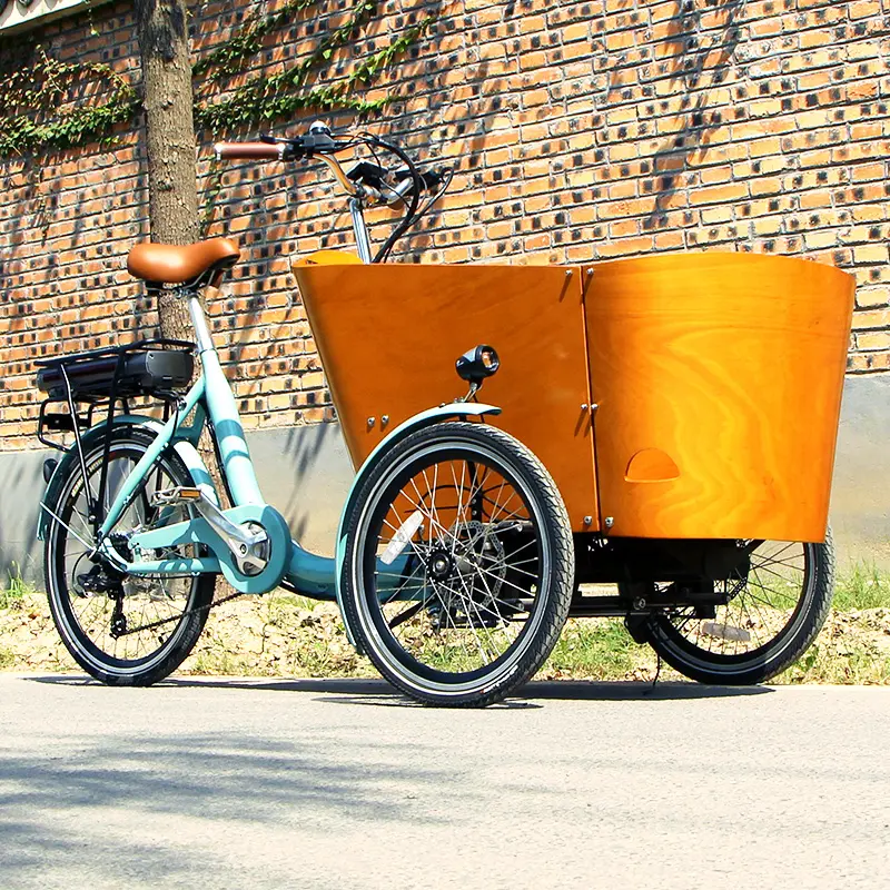 Pedal elétrico, assistente triciclo duas rodas dianteiras bicicleta de carga elétrica para venda