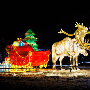 Moderno elegante filo di ferro natale slitta decorazione lanterna per il giardino di natale sentieri - Product Image 2