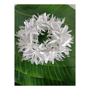 Diademas coloridas de flores de tacto Real, diademas de flores grandes de seda, flores de lirio y Araña, diademas florales hawaianas para fiesta - Product Image 1