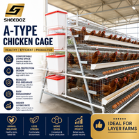 Cages d'élevage à batterie pour poules pondeuses, équipement d'élevage pour poulaillers, cages d'élevage pour l'agriculture avicole et la production d'œufs