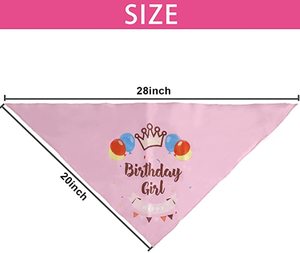Commercio all'ingrosso di lusso Pet Dog forniture per feste di buon <span class=keywords><strong>compleanno</strong></span> Banner farfallino impronta Kit Woof palloncino Arch Dog migliori amici - Product Image 4