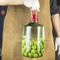 Bocaux en verre épais haut de gamme avec poignées pour la conservation des spiritueux, bouteilles à vin spéciales, récipients scellés, personnalisables