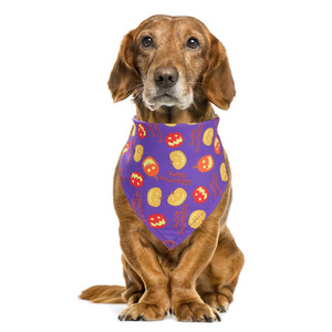 هالوري حيوان أليف دروول مريلة ديي كلب مثلث وشاح طبقة واحدة القط وشاح الزخرفية طوق - Product Image 2