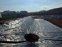 Géomembrane de revêtement de barrage en HDPE Membrane robuste en feuille imperméable à l'eau de durée de vie supérieure pour infrastructure de rétention d'eau à grande échelle