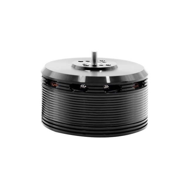 6S-12S 170KV 310KV Micro Brushless DC Drone Motor Airplane Aircraft Racing Drone Motor
