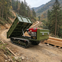Chargeuse sur chenilles diesel robuste de 3 tonnes, déchargeuse automatique, chenilles en caoutchouc, haute efficacité, certifiée CE, pour la construction