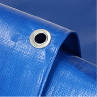 Bâche extérieure personnalisée en HDPE bleue, anti-moisissure, protection UV, imperméable, pour couvrir les piscines jusqu'à 12 pieds (4x4m)