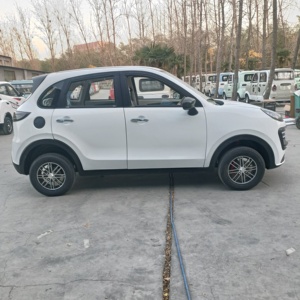 Le mini véhicule électrique populaire <span class=keywords><strong>de</strong></span> Suke, un véhicule électrique à quatre roues pour adultes, est largement vendu en Chine. - Product Image 2