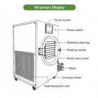 Draagbare Vriesdroger Koude Val Liofilizadora Laboratorio Industriële Olie Vrije Vacuümpomp Machine Voor Fruit
