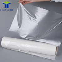 Film adhésif thermofusible HN similaire à Bemis 3218 pour le collage textile sur textile, sur substrats durs, sur cuir, plastique et métal