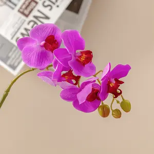 71cm Long 5 Heads Real Touch Artificial Phalaenopsis Faux Orchids Flowers For Home Centerpiece DIY Decoration Factory