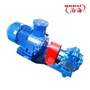 Pompa a ingranaggi per petrolio grezzo in acciaio inossidabile autolubrificante elettrica a bassa pressione 10hp con valvola limitatrice di pressione per diesel - Product Image 4