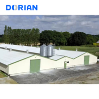 Bâtiment d'élevage de volailles à structure en acier multi-étages pour poulets de chair à vendre