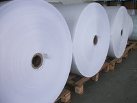 Rollo Térmico Jumbo Directo de Fábrica 795mm 844mm 1035mm 400mm 405mm 636mm Papel Base Térmico de Alta Sensibilidad para Rollos POS