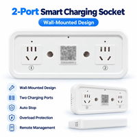 Prise de charge intelligente à 2 ports avec arrêt automatique pour la location de vélos électriques - Usine chinoise