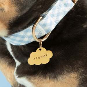 Joyería Personalizada de Alta Calidad al por Mayor con Grabado del Nombre de tu Mascota, Chapado en Oro de 18k, Acero Inoxidable, Placa de Identificación para Mascotas en Forma de Nube - Product Image 1