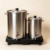 Mini cuve de fermentation en acier inoxydable avec barboteur - Kit de démarrage pour la brasserie maison