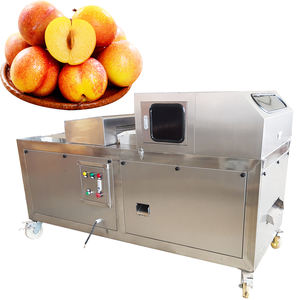 Máquina Deshuesadora de Aceitunas y Ciruelas de Nuevo Diseño Personalizado a Bajo Precio - Product Image 4