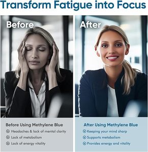 인지 기능, 에너지, 세포 건강을 지원하는 OEM 알파 뇌 캡슐 - Product Image 3